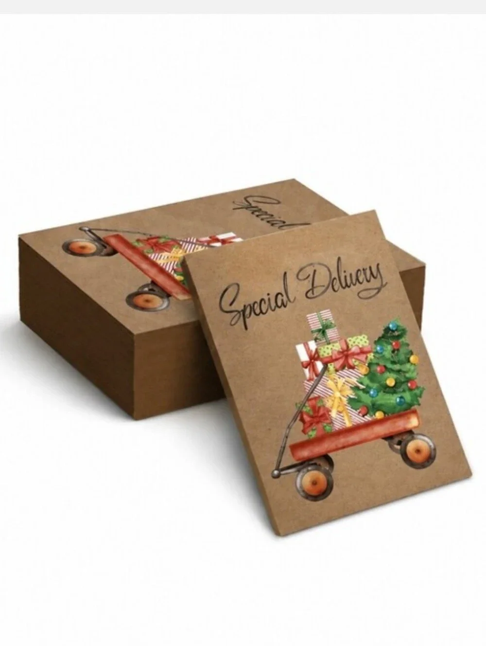 (25)10x13 POLY MAILERS + (25) 4x6 CARDS